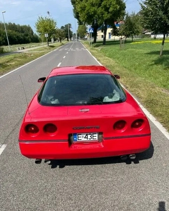 Chevrolet Corvette cena 49900 przebieg: 140000, rok produkcji 1984 z Skierniewice małe 46